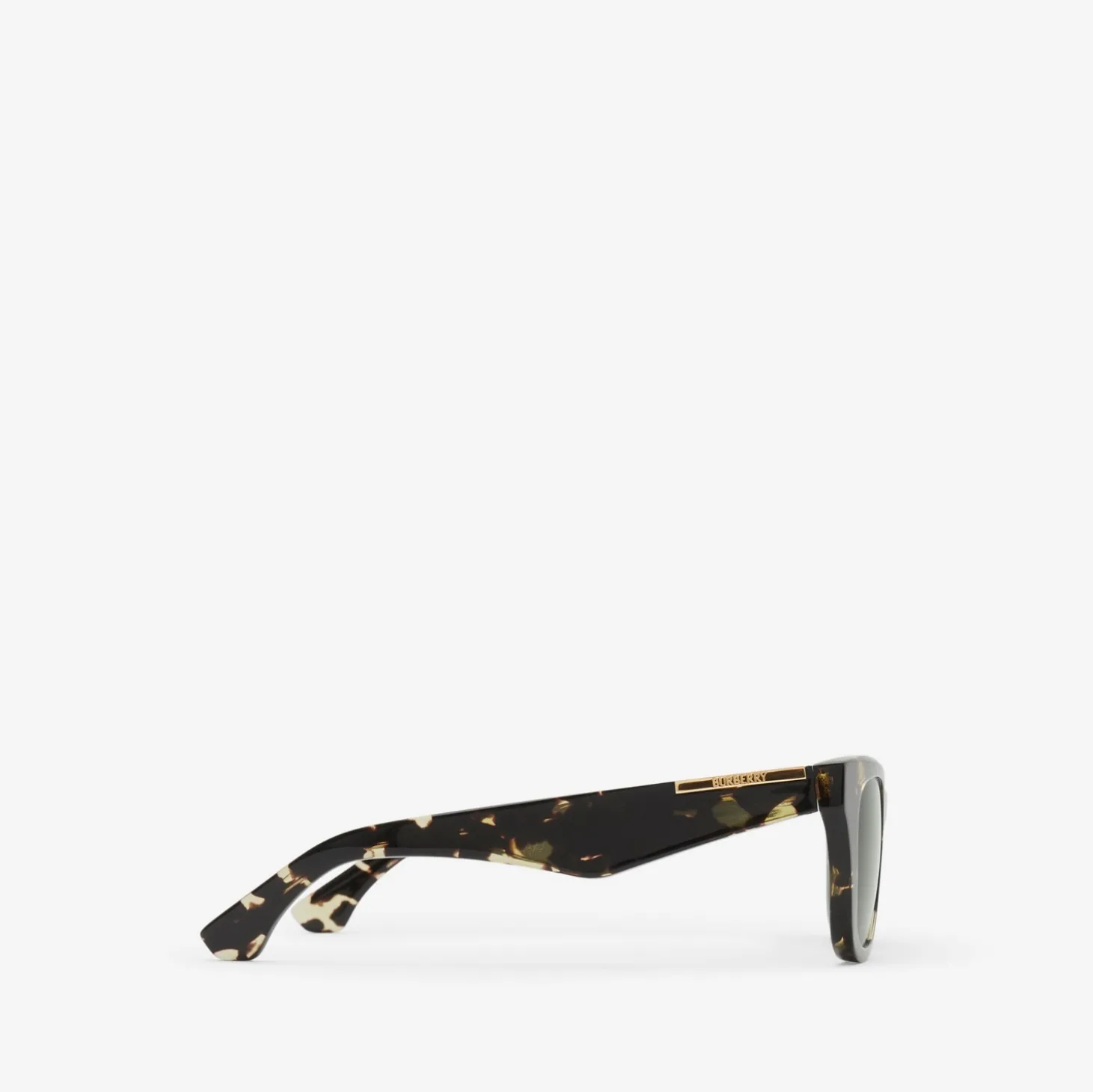 Arch Facet Sunglasses