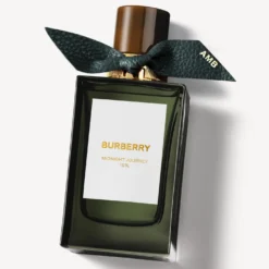 Burberry Signatures Midnight Journey Eau de Parfum 100ml
