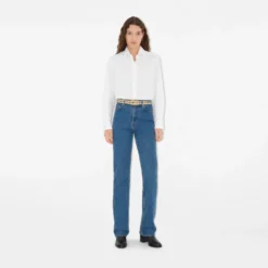Check Belt
