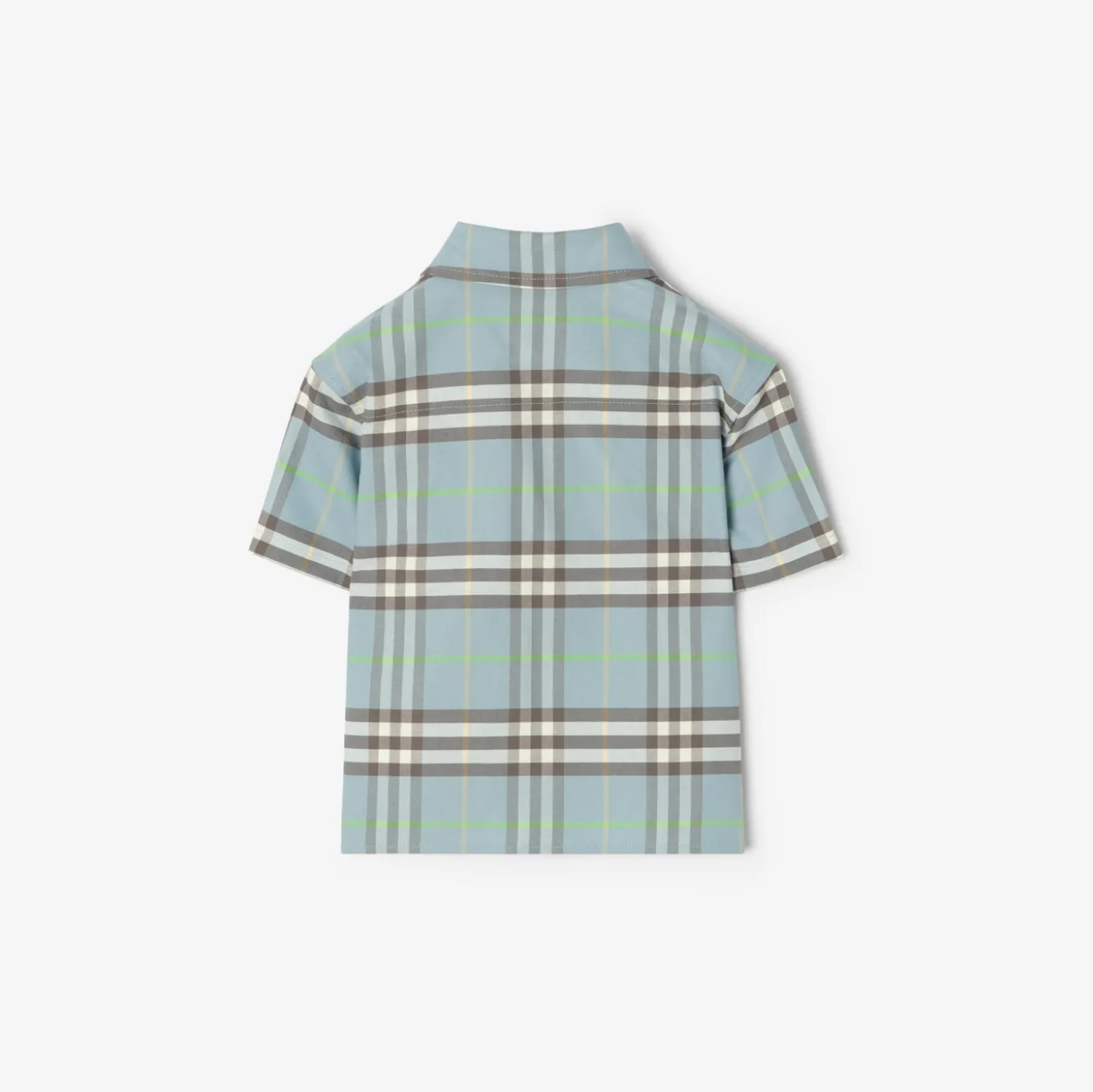 Check Cotton Oxford Shirt