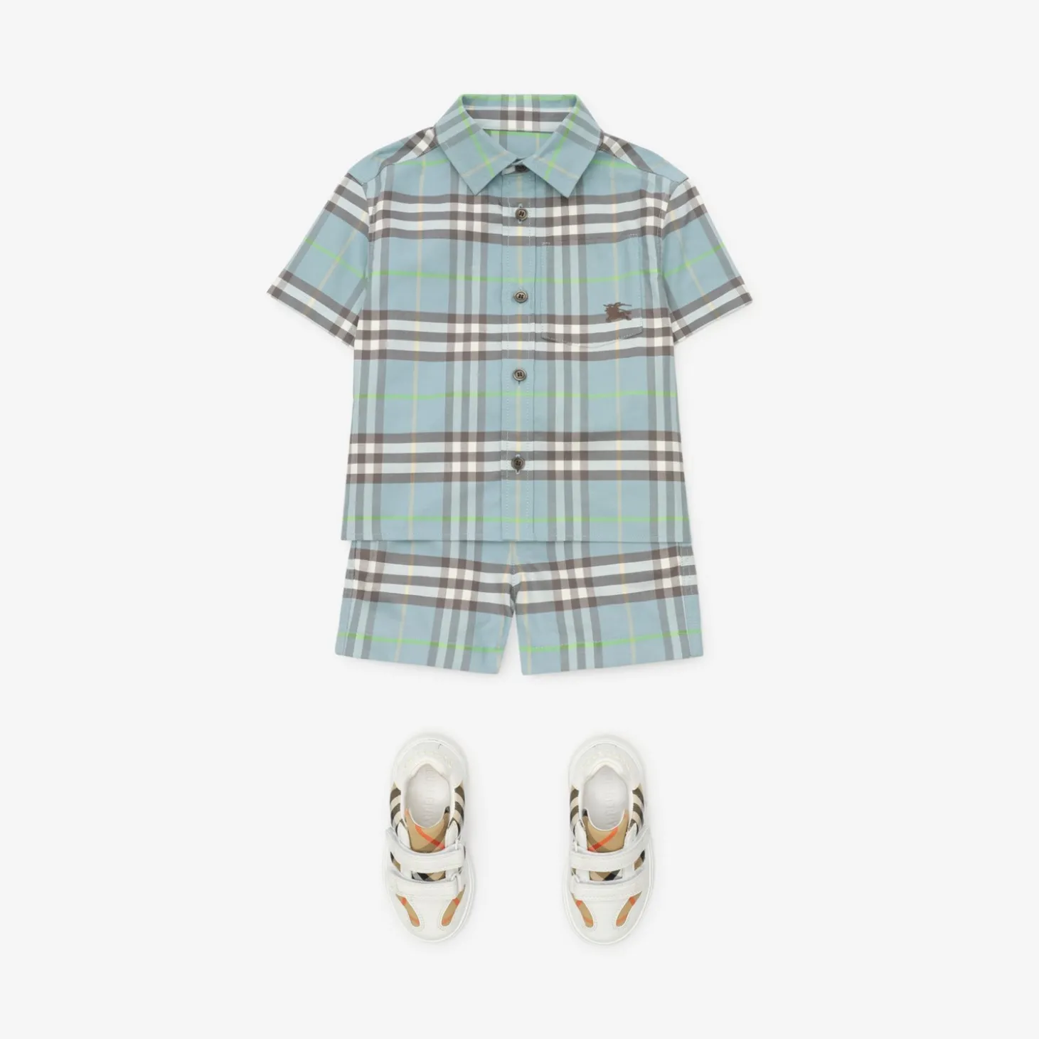 Check Cotton Oxford Shirt