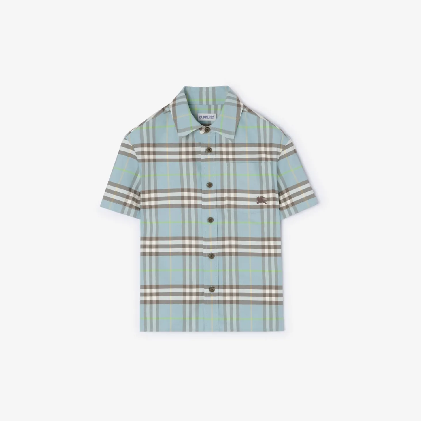 Check Cotton Oxford Shirt