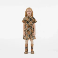Check Cotton Shirt Dress