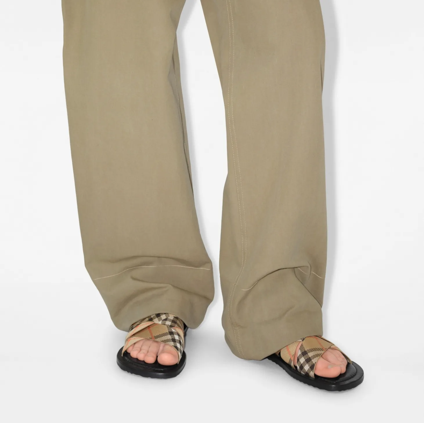 Check Pavilion Slides