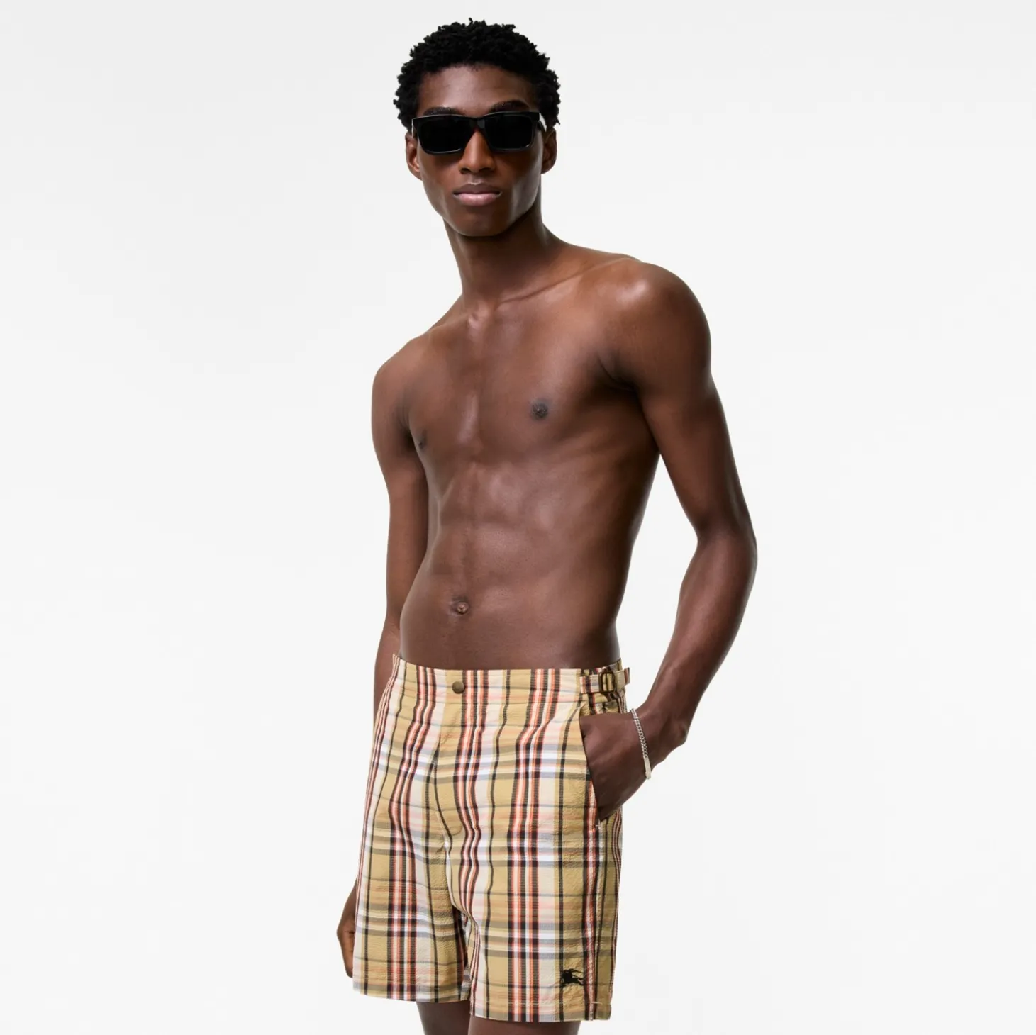Check Seersucker Swim Shorts