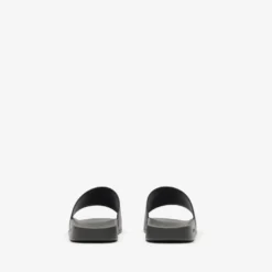 Check Slides