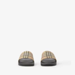Check Slides