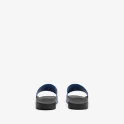 Check Slides