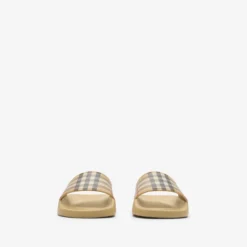 Check Slides