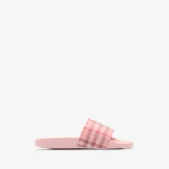Check Slides