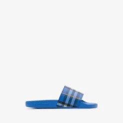 Check Slides