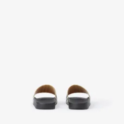 Check Slides