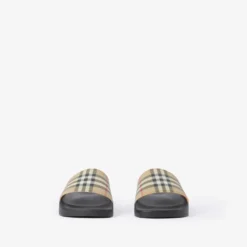 Check Slides
