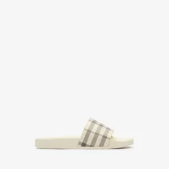 Check Slides