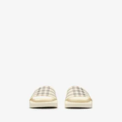 Check Slides