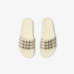 Check Slides