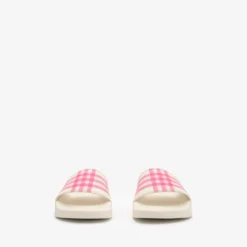 Check Slides