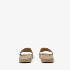 Check Slides