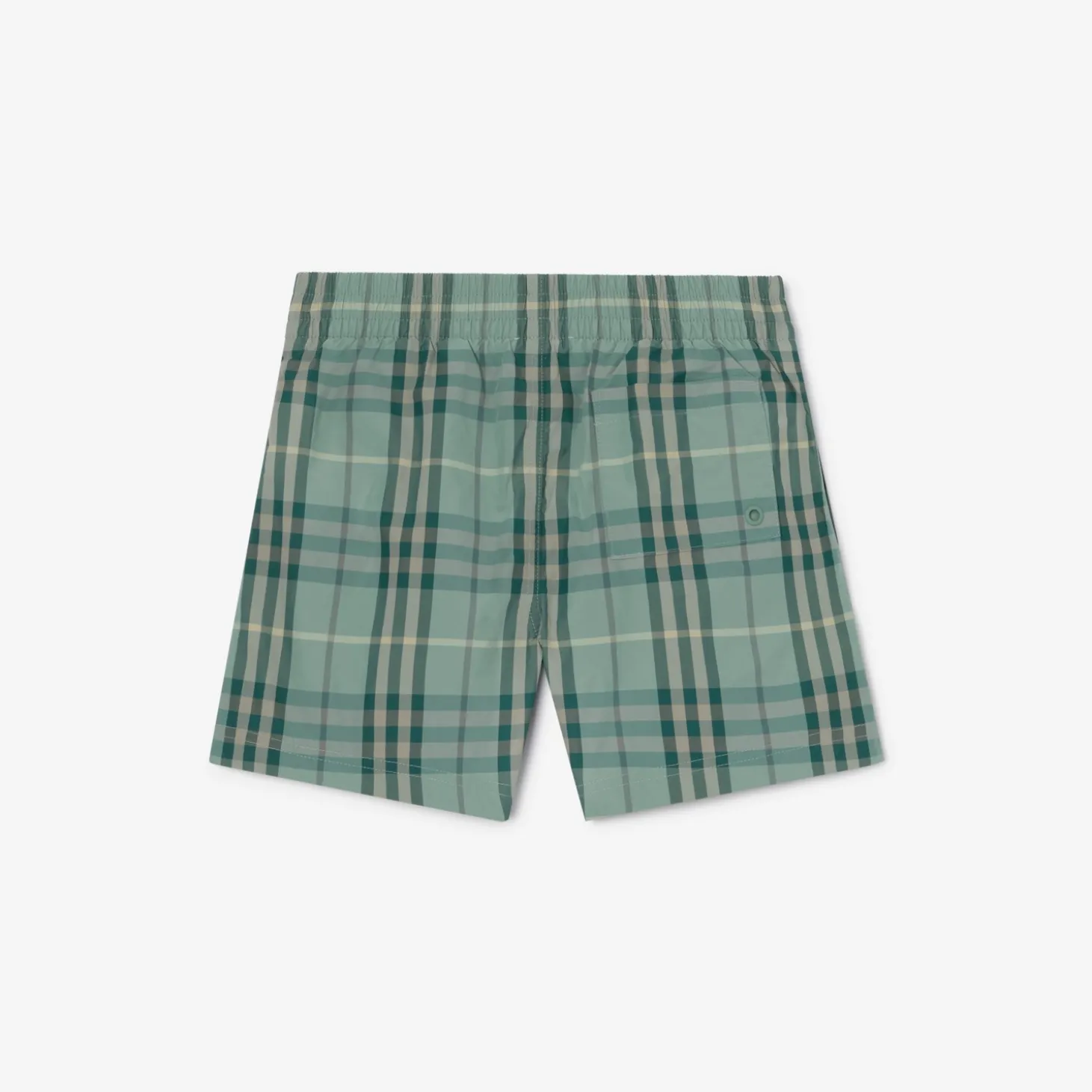 Check Swim Shorts