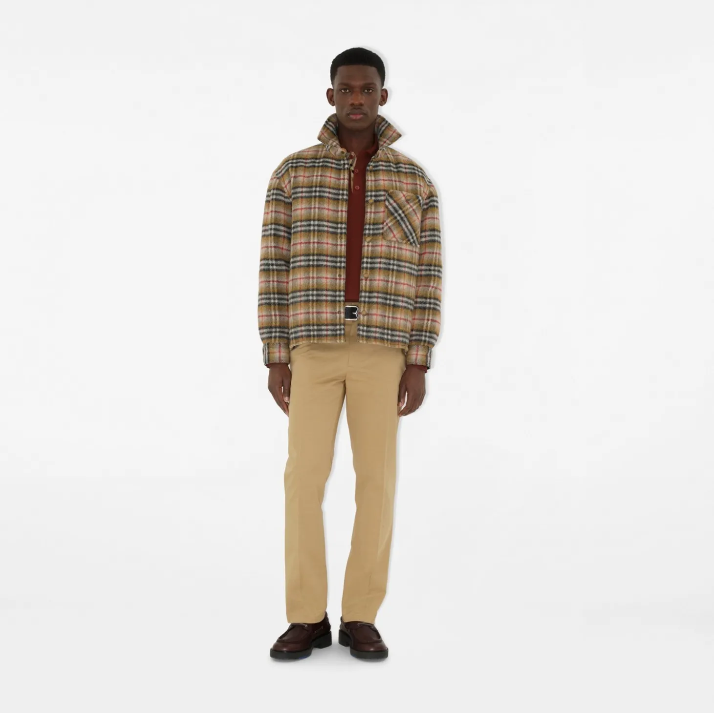 Cotton Chinos