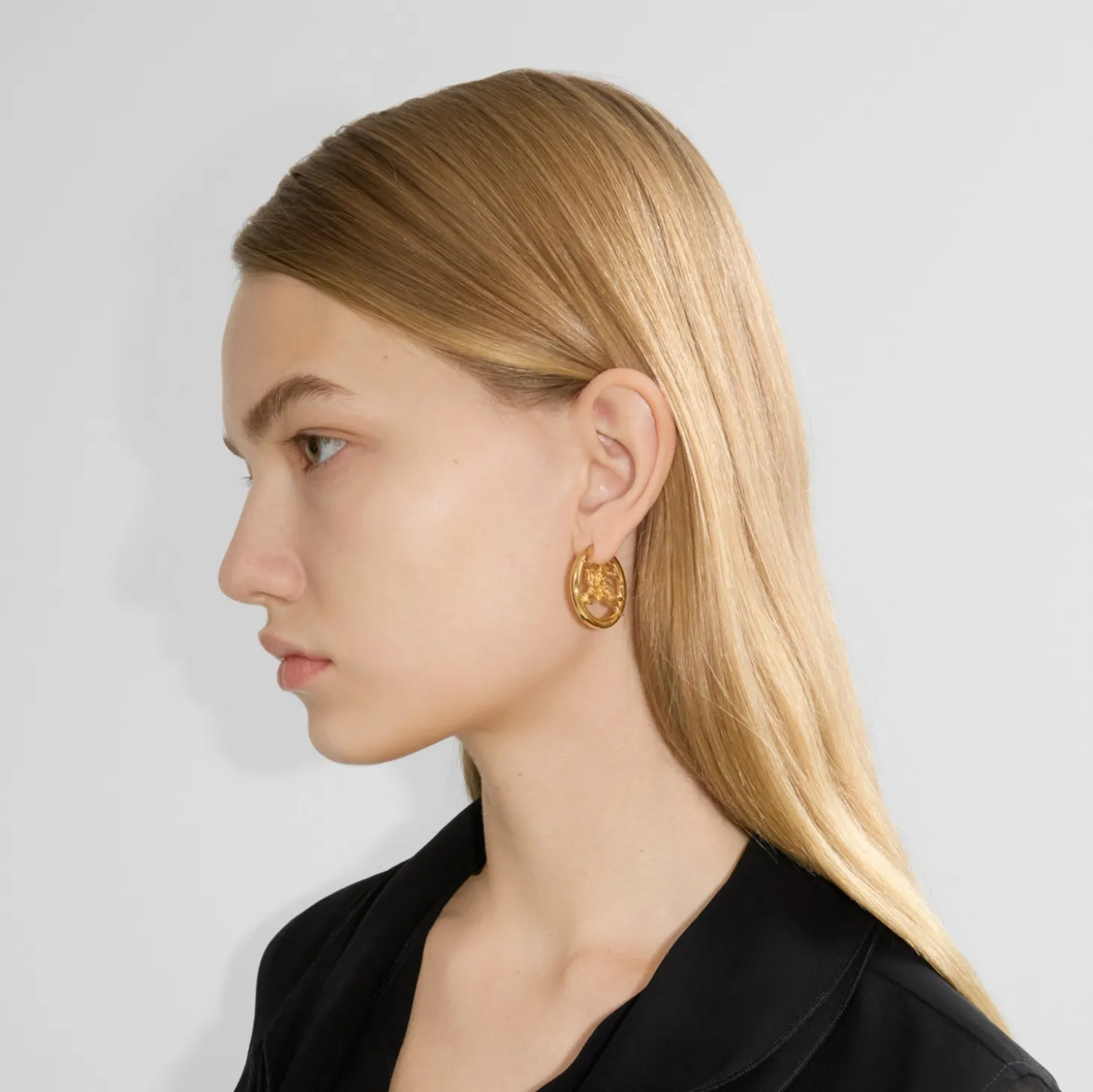 Knight Hoop Earrings