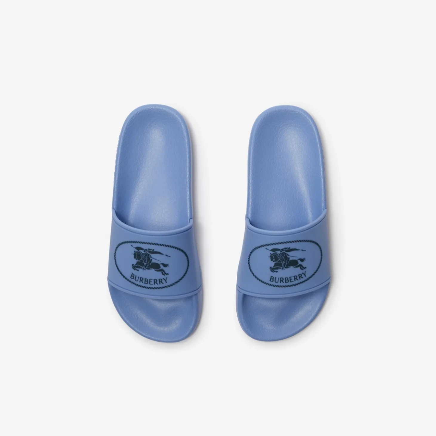 Knight Stamp Slides