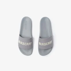Logo Slides