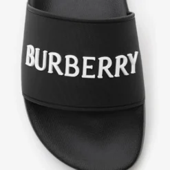 Logo Slides