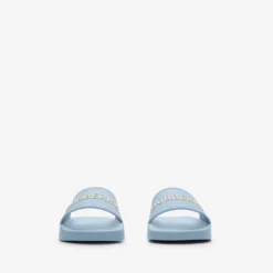 Logo Slides