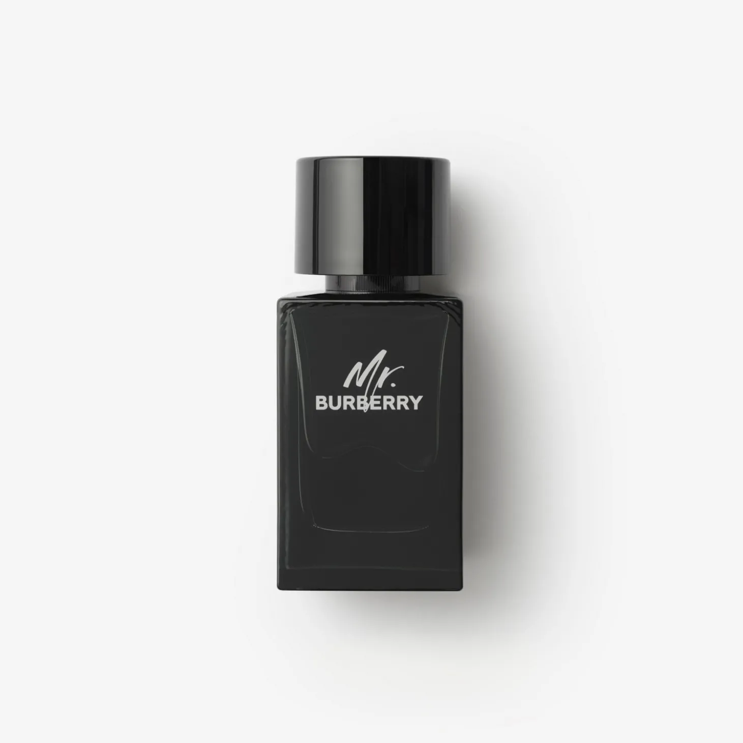 Mr. Burberry Eau de Parfum 100ml