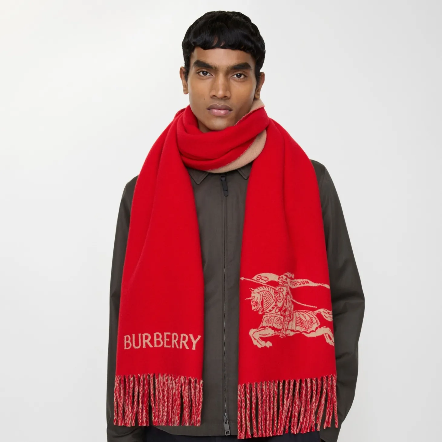 Reversible Knight Cashmere Scarf