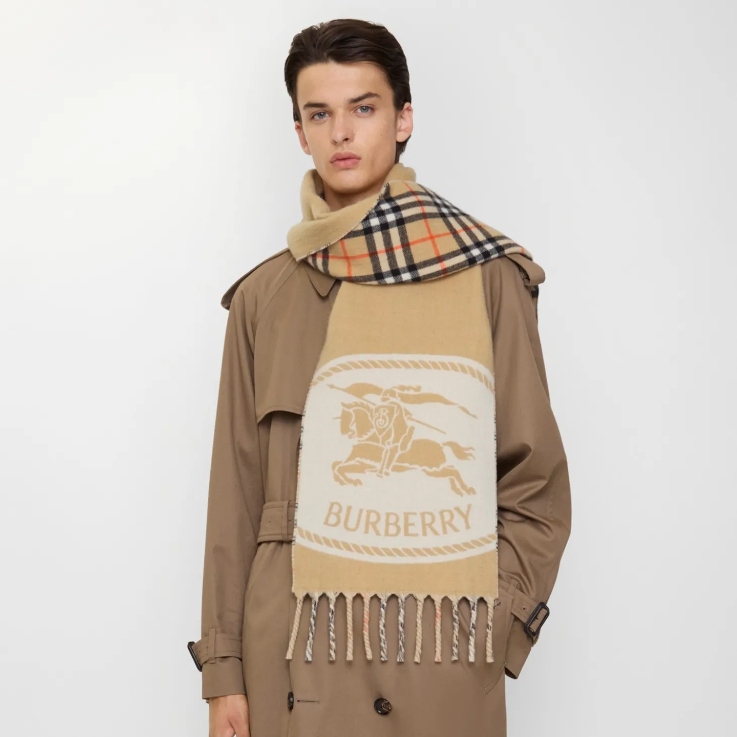 Reversible Knight Stamp Scarf