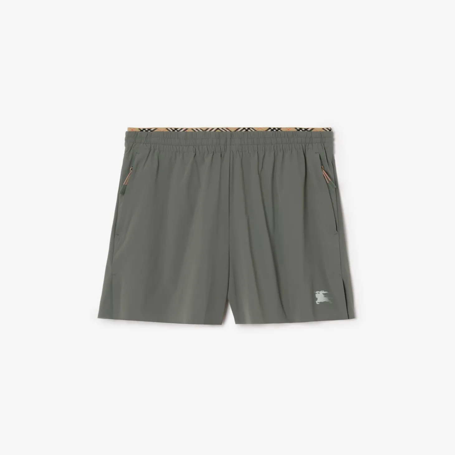 Stretch Nylon Shorts